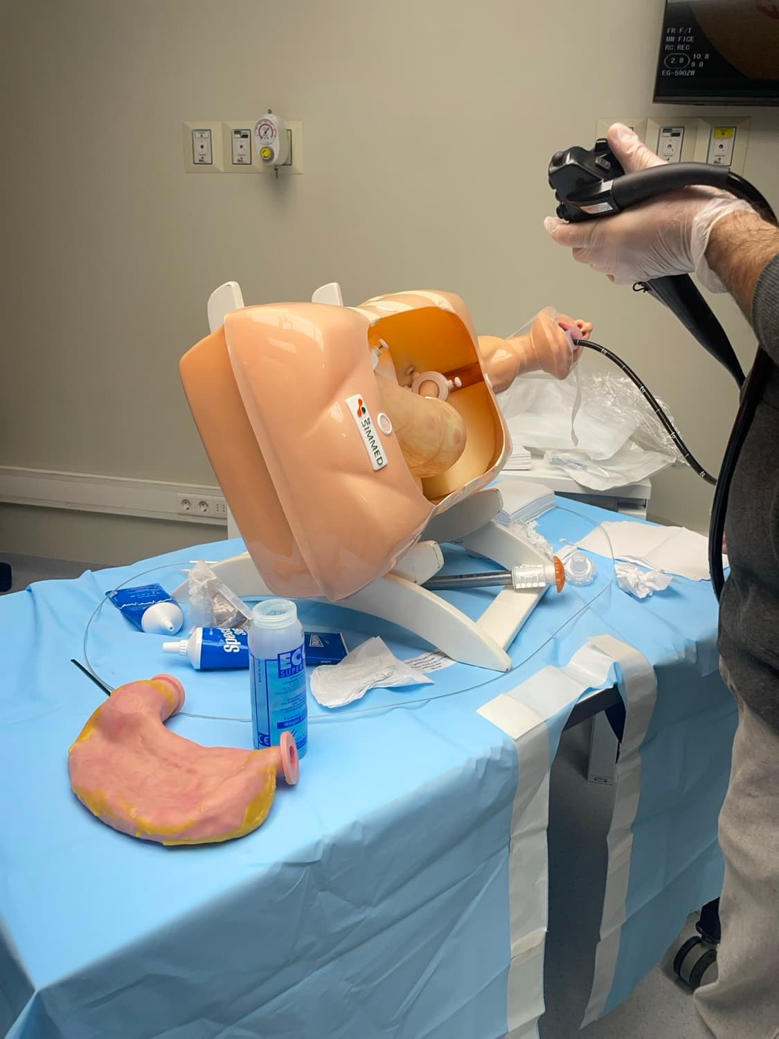 Endoscopista trabajando sobre el simulador digestivo