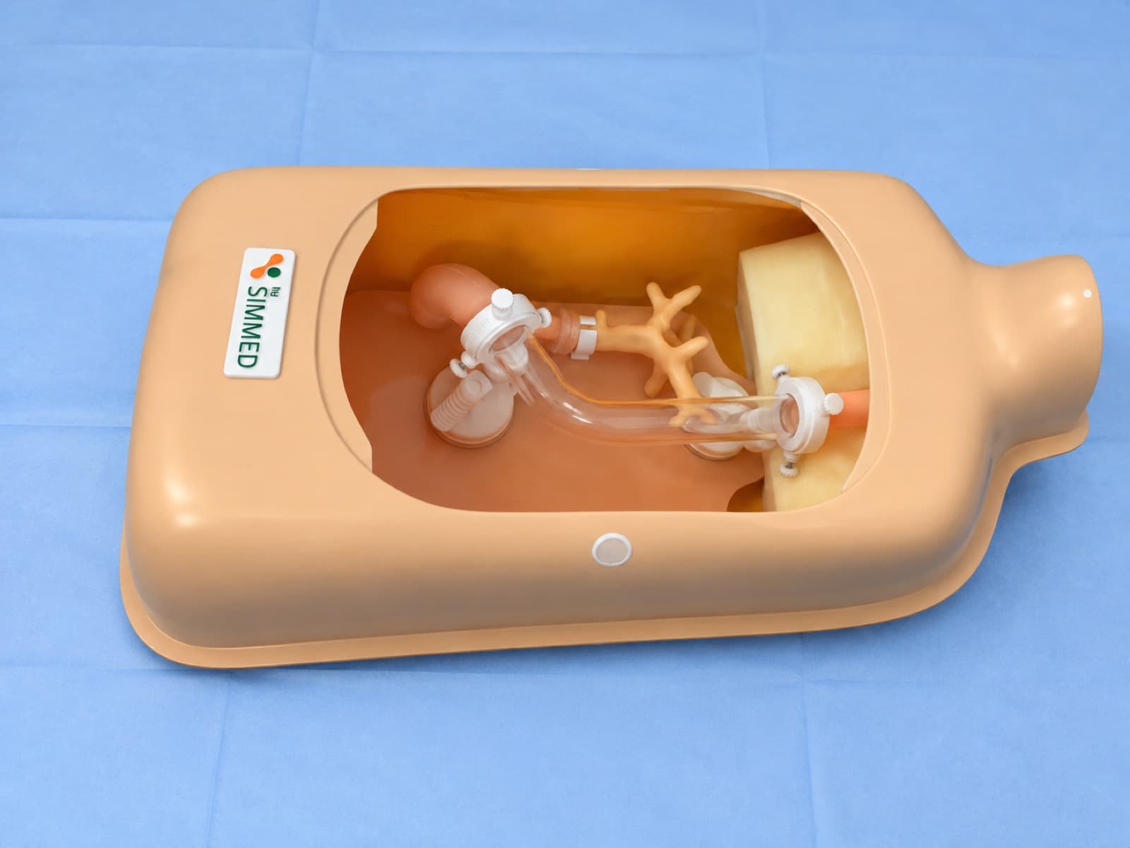Simulador biliopancreático para CPRE bySIMMED