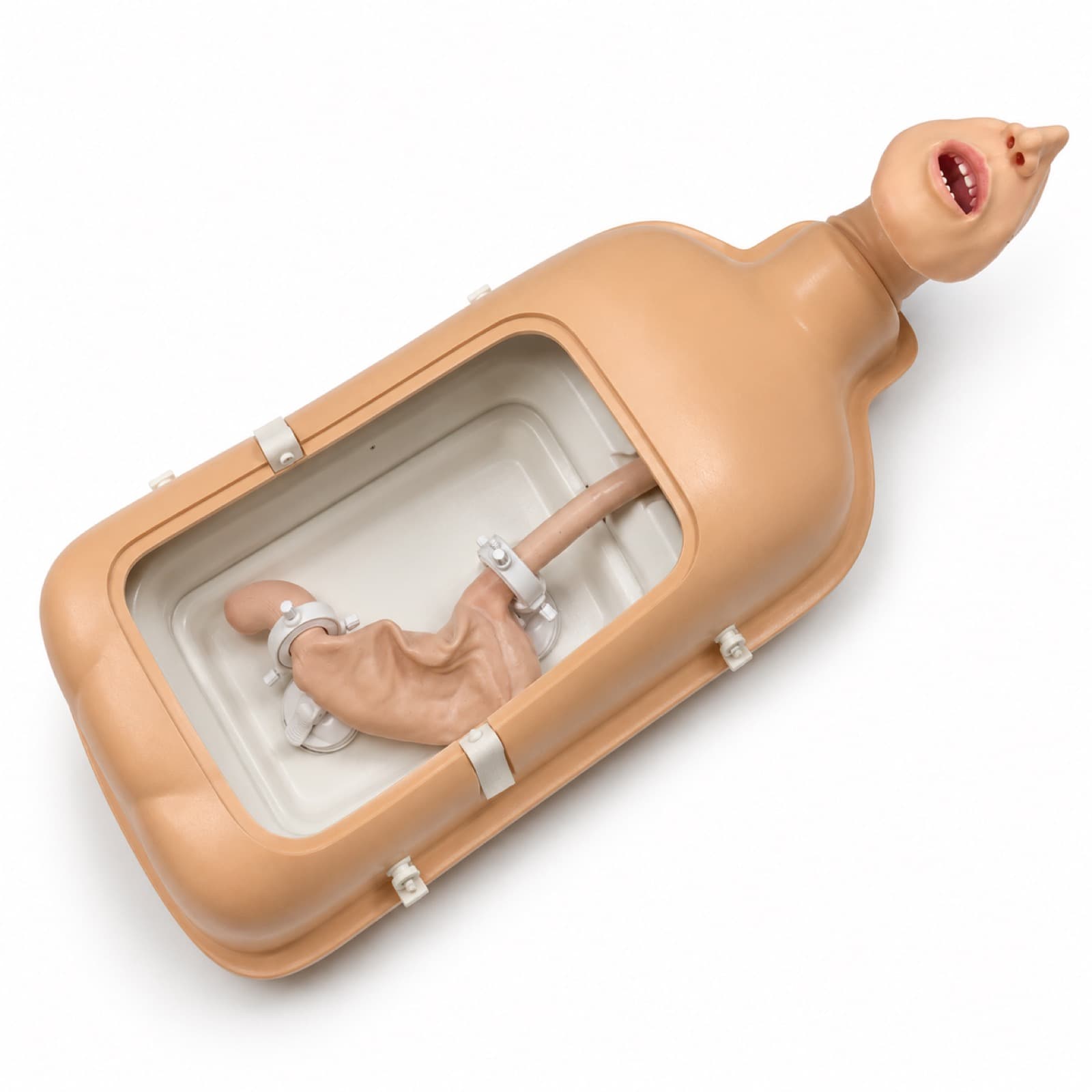 Simulador de Endoscopía Digestiva Alta