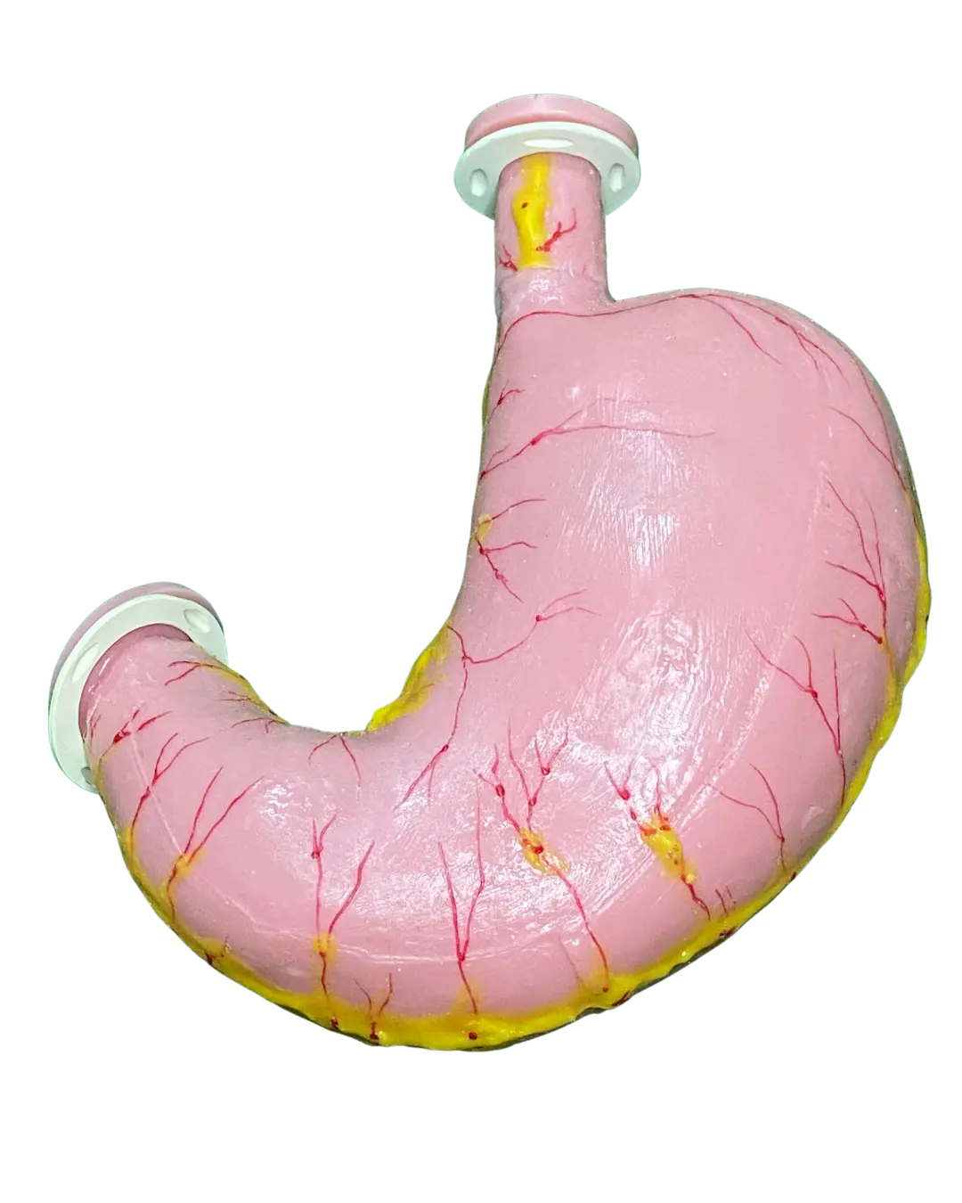 estomago bysimmed