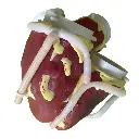 Diseno-sin-titulo-2.webp