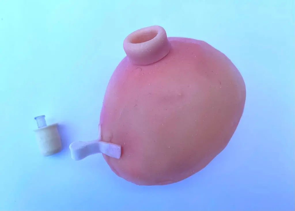 Vejiga urinaria y tapón modelo GU.webp