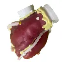 Diseno-sin-titulo-1.webp