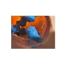 interior_de_esofago_con_varices___copia.webp