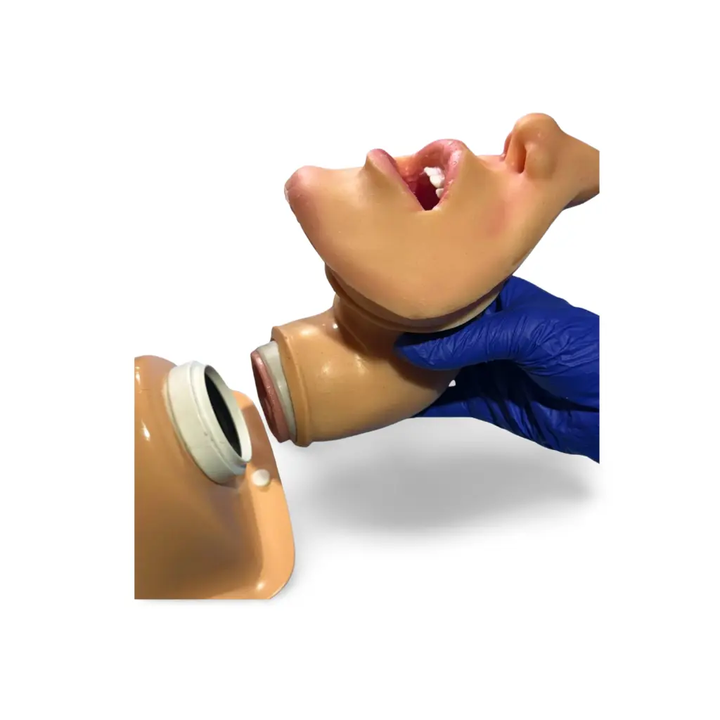 Rostro_encajando_en_fantoma.webp