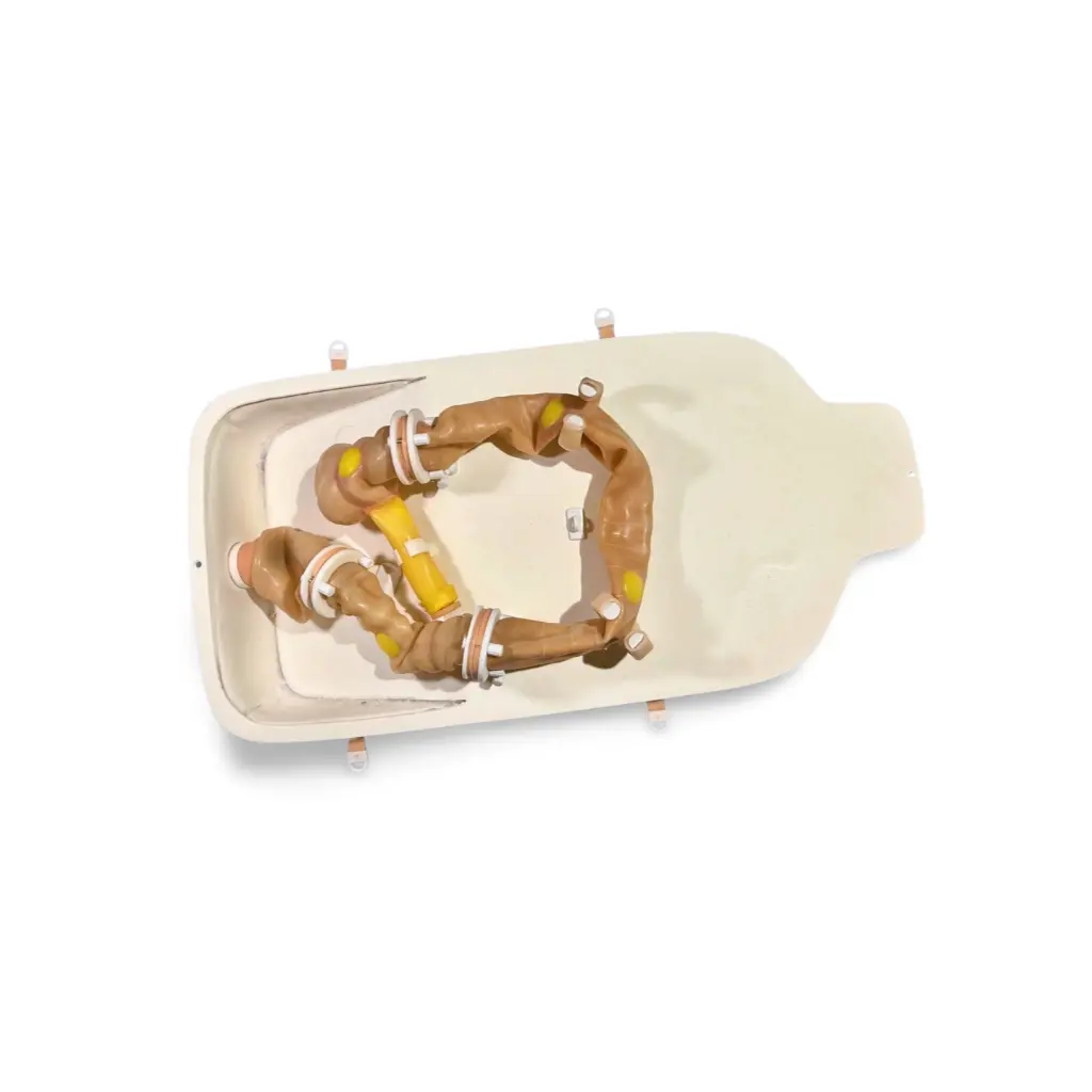 piezas_2_modelo_de_colon_en_fantoma.webp